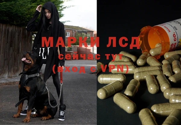 apvp Алексеевка