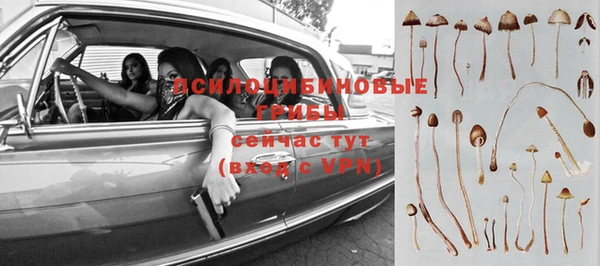 apvp Алексеевка